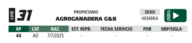 Lote LOTE 31