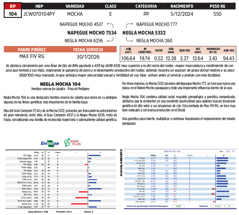 Lote LOTE 39