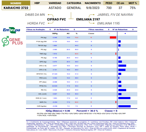 Lote LOTE 76