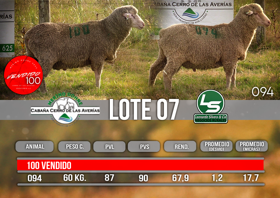 Lote LOTE 7