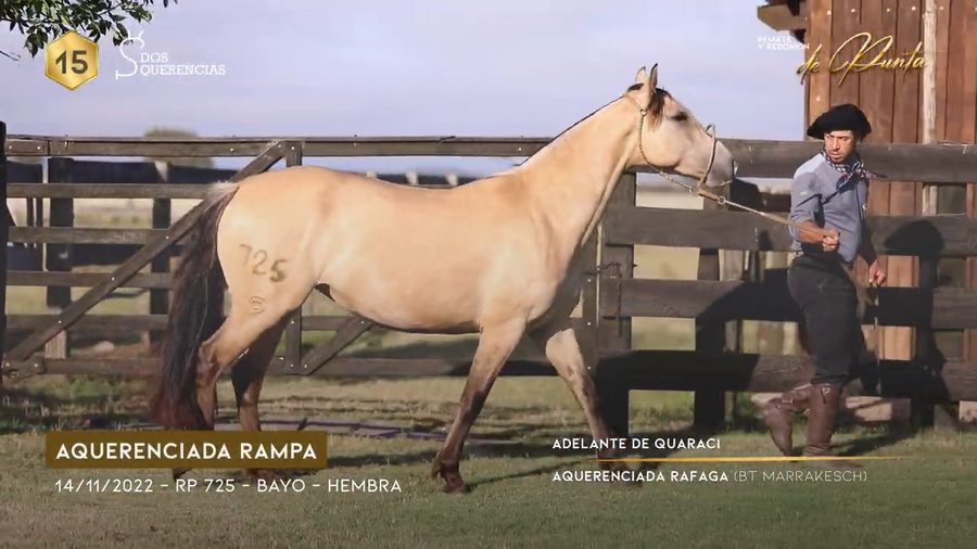 Lote AQUERENCIADA RAMPA