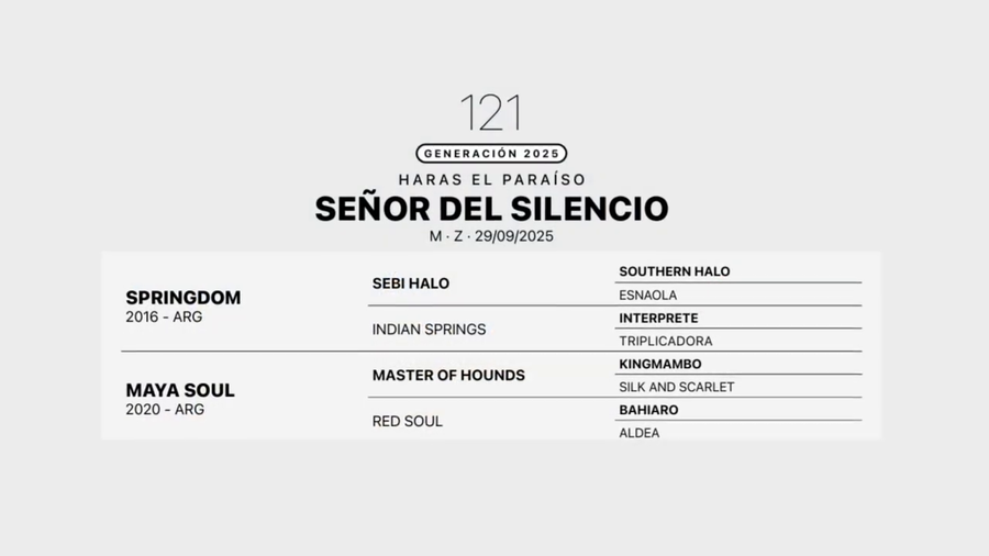 Lote SEÑOR DEL SILENCIO