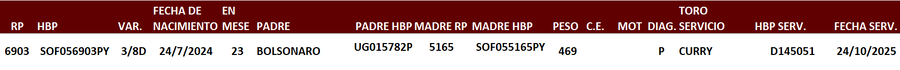 Lote LOTE 17