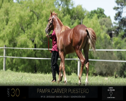 Lote PAMPA CARVER PUESTERO