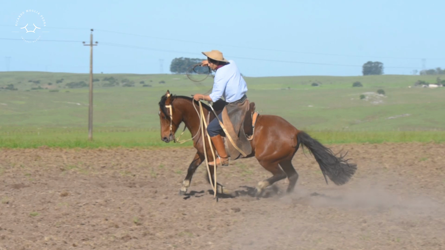 Lote El Gavilán Naranja Mecánica (RP 450) Cabaña "El Gavilán"