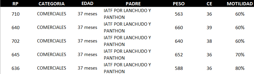 Lote AGROPECUARIA AMAMBAY LOTE 34