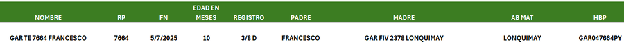 Lote LOTE 19