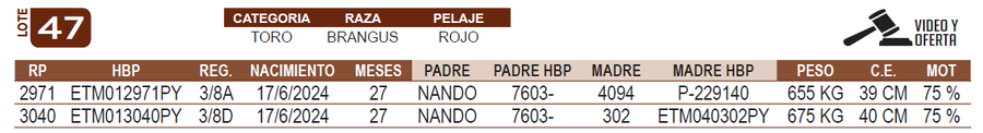 Lote LOTE 47
