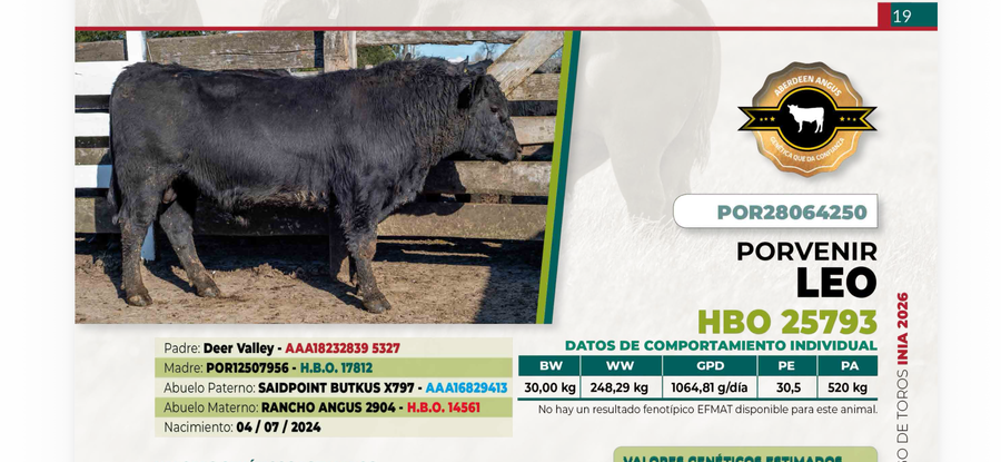 Lote 1 Toro LEO DIIO 4250