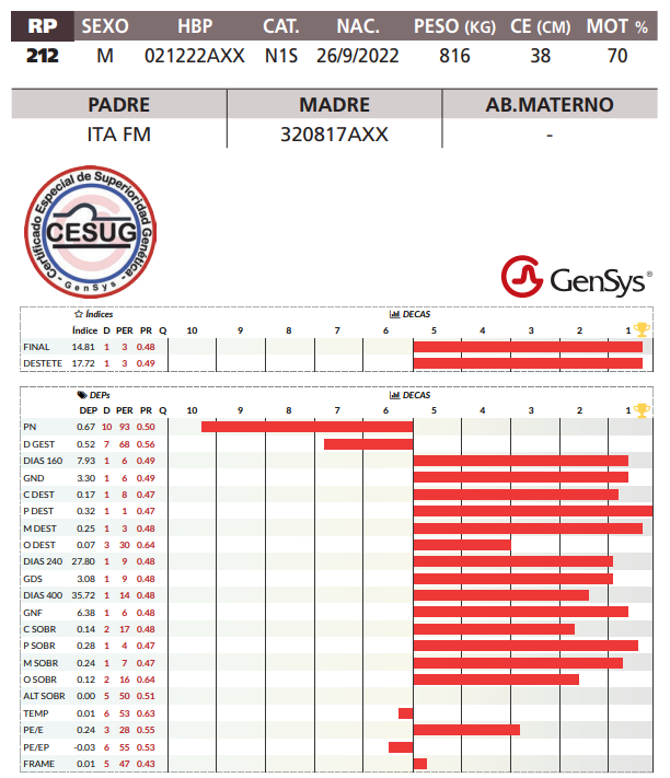 Lote LOTE 50