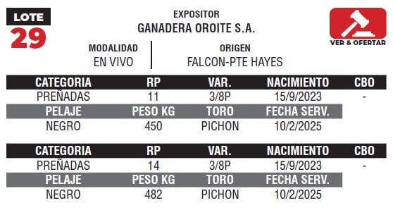 Lote LOTE 29- EN VIVO