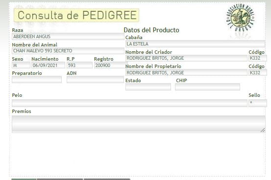 Lote TORO PI - RP 593