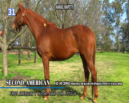 Lote SECOND AMERICAN