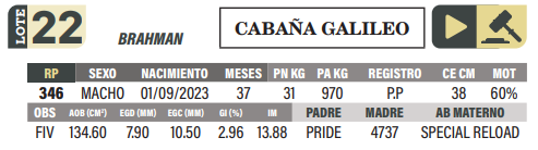 Lote LOTE 22
