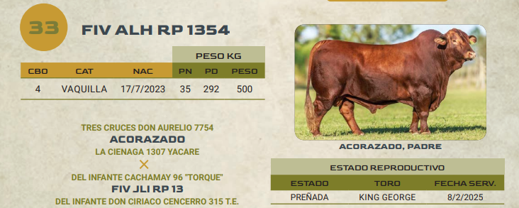 Lote LOTE 33