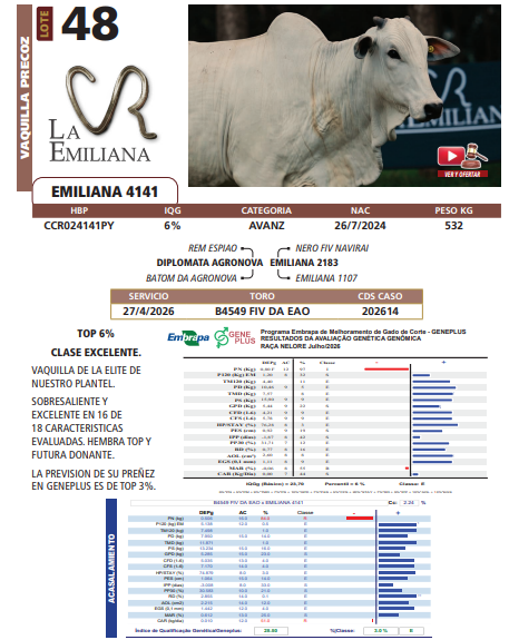 Lote LOTE 48