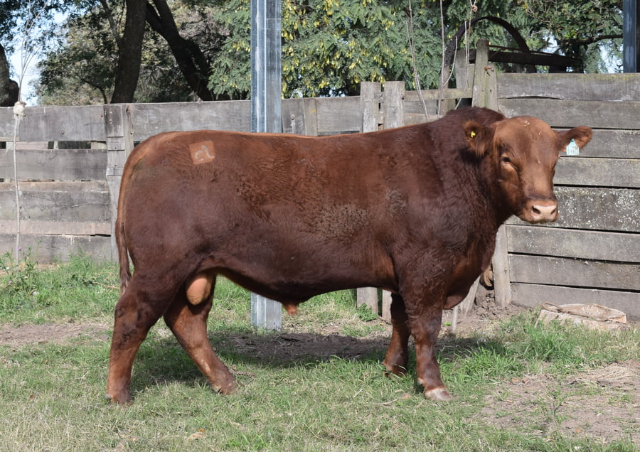 Lote CABAÑA “COEMBOTÁ” de Calderón RP 100