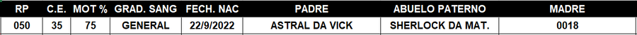 Lote LOTE 43