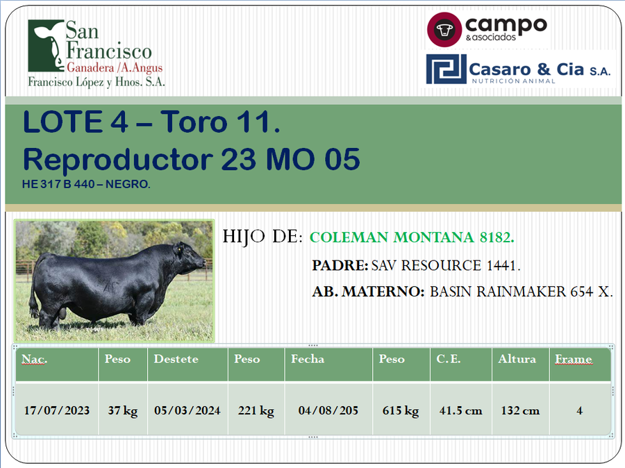 Lote TOROS ANGUS PC. San Francisco