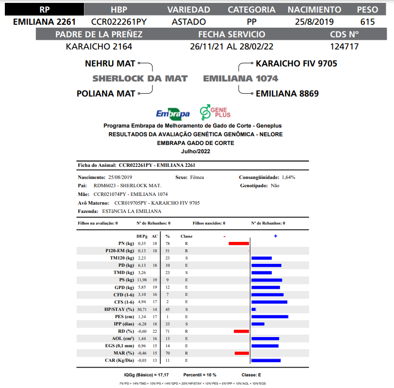 Lote LOTE 42 - RP E2261