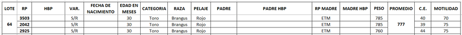 Lote LOTE 64