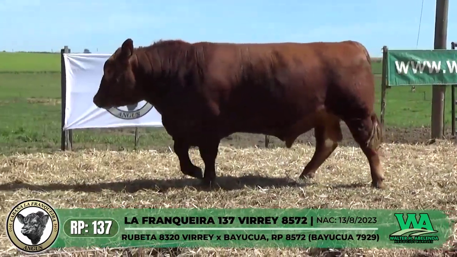Lote LA FRANQUEIRA 137 VIRREY 8572