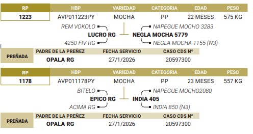 Lote LOTE 56