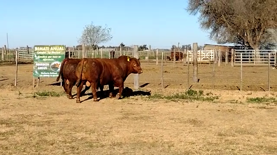 Lote CABAÑA LA MARICEL