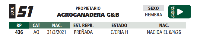 Lote LOTE 51
