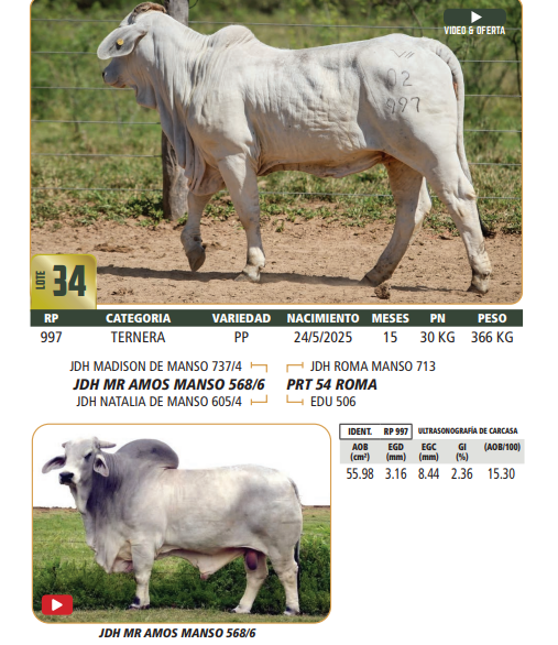 Lote LOTE 34