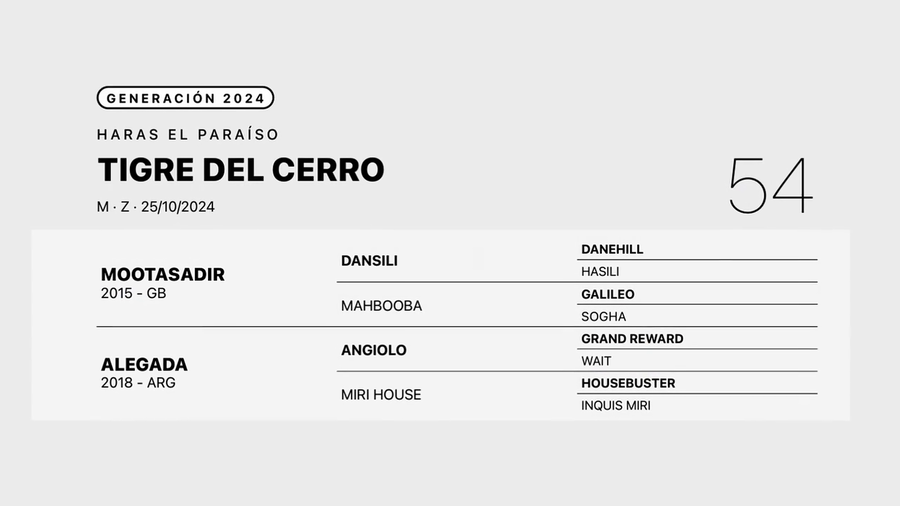 Lote TIGRE DEL CERRO