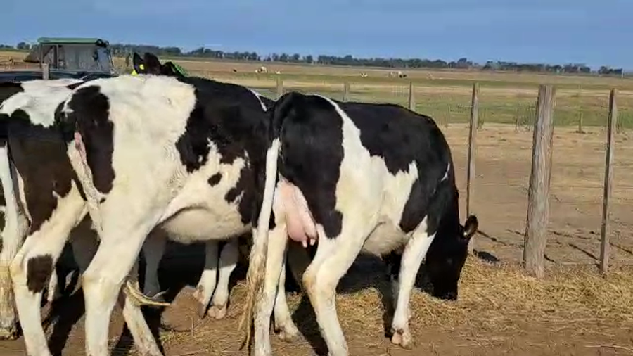 Lote Agrop. Don Roque