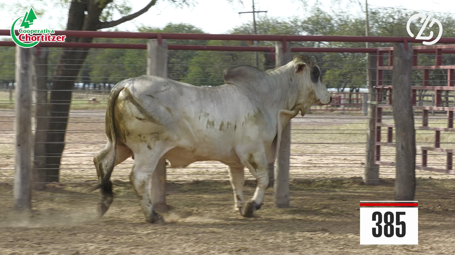 Lote Brahman