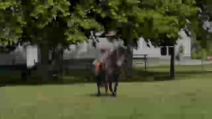 Lote Cañada Morenita (RP 417) Cabaña "La Cañada"