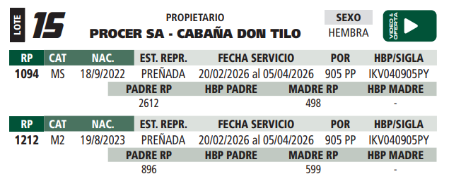Lote LOTE 15