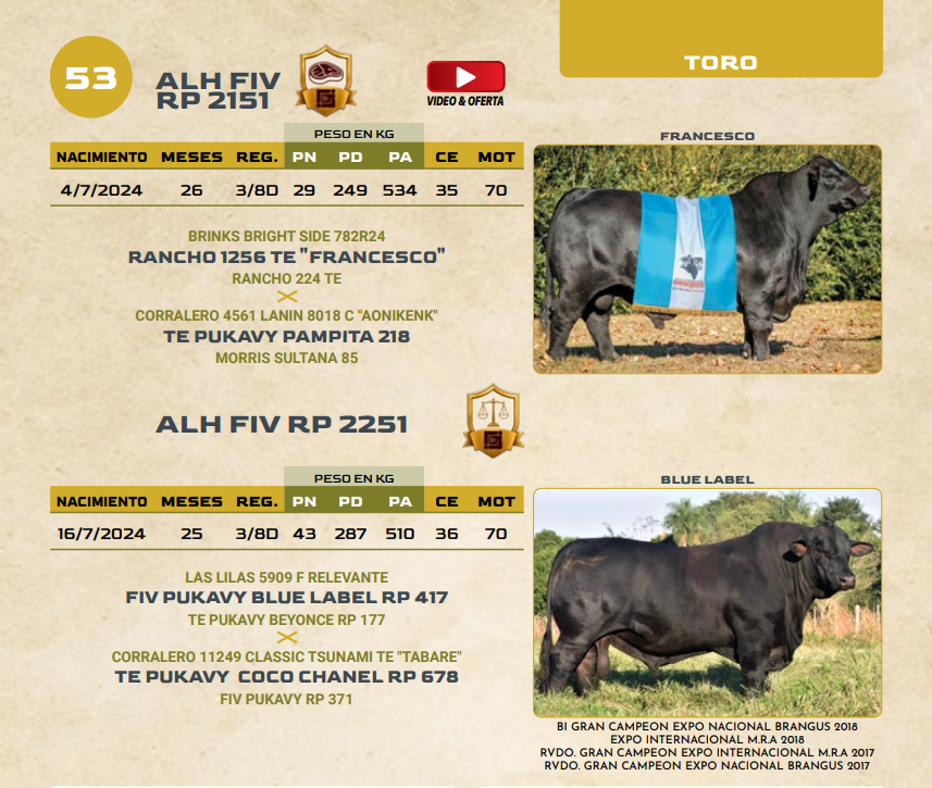 Lote LOTE 53
