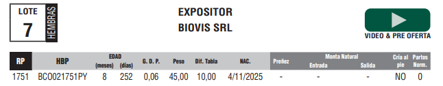 Lote LOTE 7