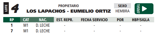 Lote LOTE 4