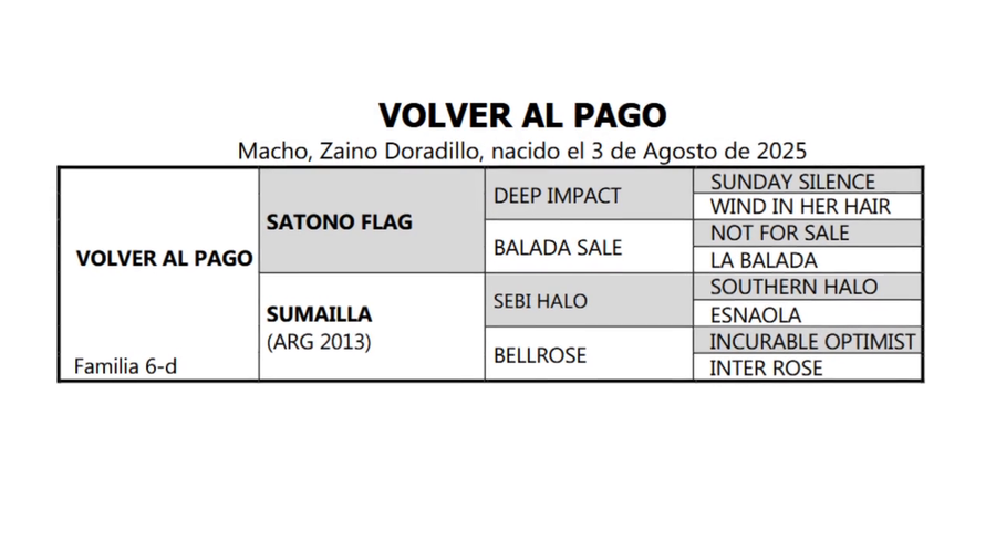 Lote VOLVER AL PAGO