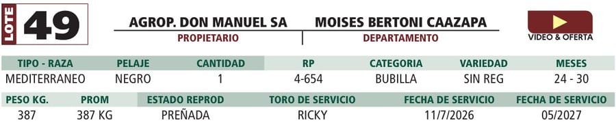 Lote LOTE 49