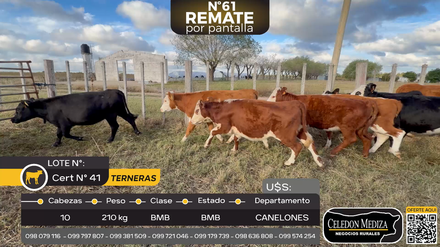 Lote 10 Terneras en ruta 107 a 10 km de Canelones Canelones