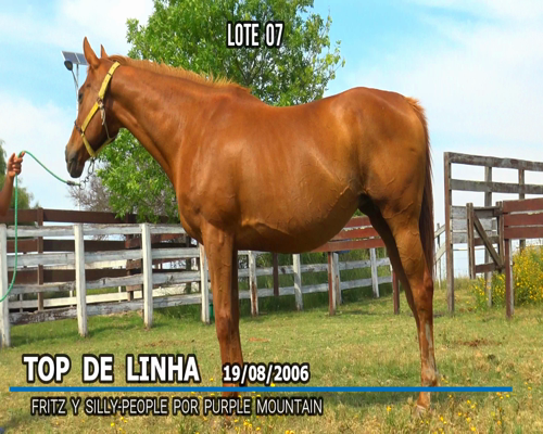 Lote TOP DE LINHA (BRZ)