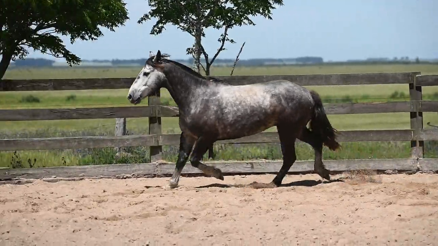 Lote CAÑADA  ORIENT