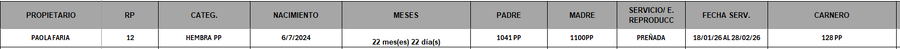 Lote LOTE 14