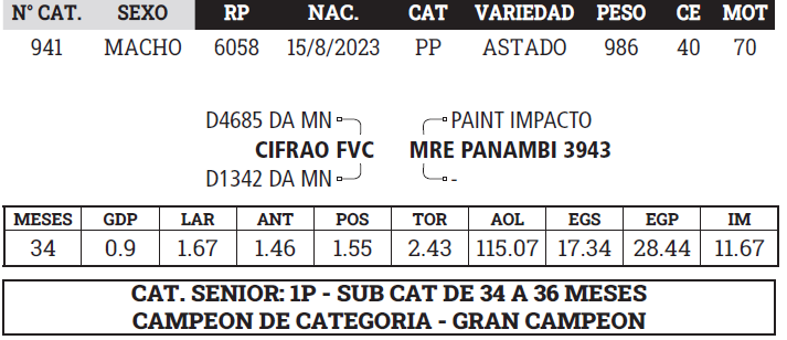 Lote LOTE 12 - BOZAL