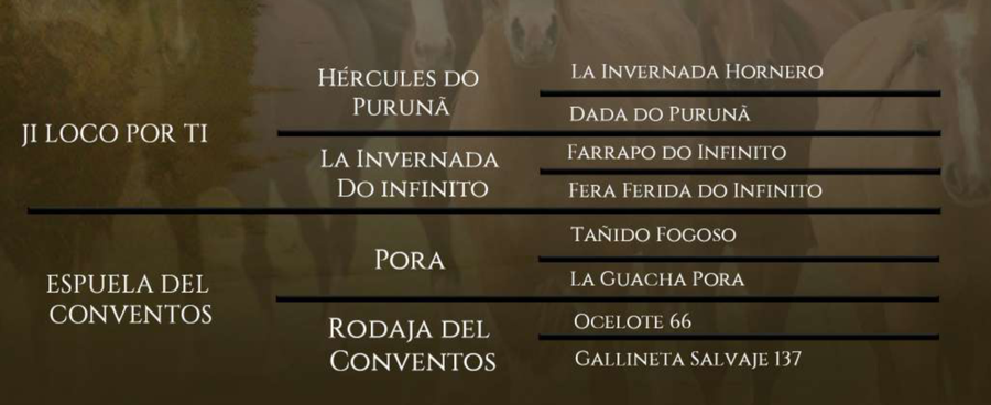 Lote Pica Flor del Conventos