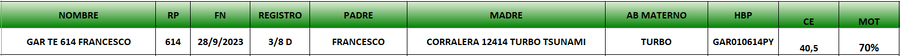 Lote LOTE 22