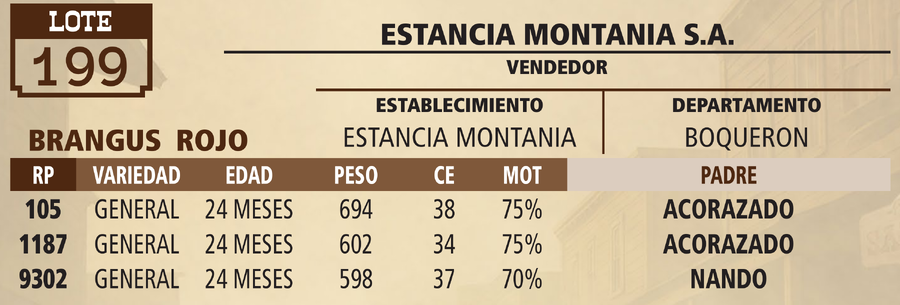 Lote LOTE 199 - VIVO