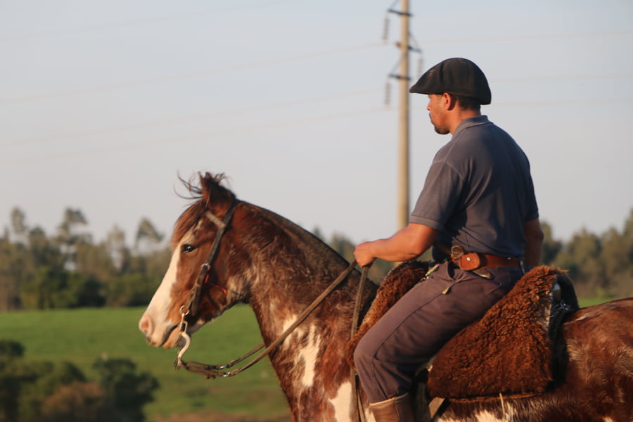 Lote TRADICION DEL CONVENTOS
