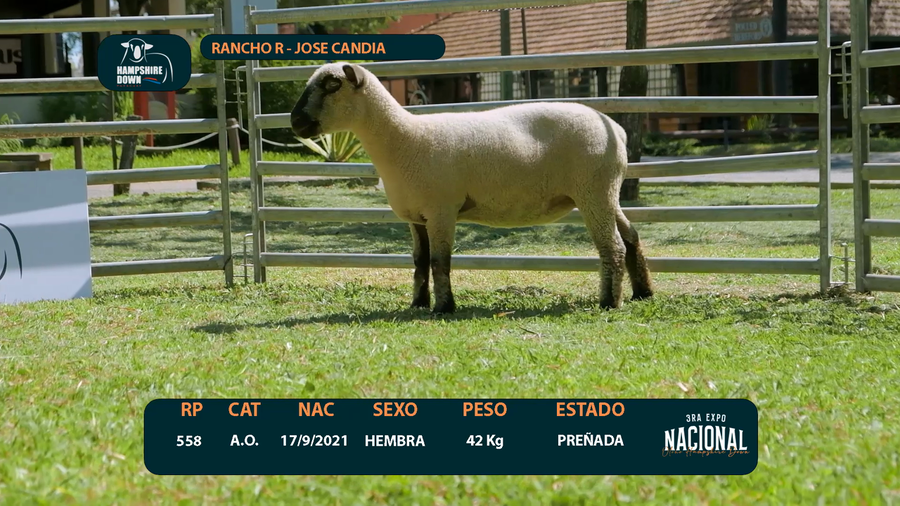 Lote LOTE 12 - CABAÑA R - RP 558